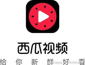 在抖音上买瓜吃瓜犯法吗,法律边界与网络舆论的微妙平衡 第2张 在抖音上买瓜吃瓜犯法吗,法律边界与网络舆论的微妙平衡 第2张